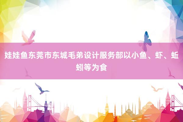 娃娃鱼东莞市东城毛弟设计服务部以小鱼、虾、蚯蚓等为食