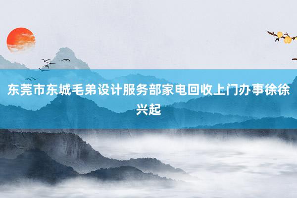 东莞市东城毛弟设计服务部家电回收上门办事徐徐兴起