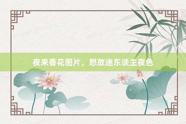 夜来香花图片，怒放迷东谈主夜色