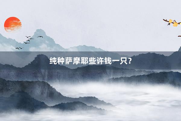 纯种萨摩耶些许钱一只？